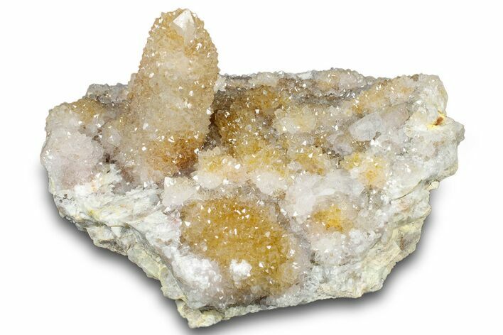 Sparkling Cactus Quartz Crystal Cluster - South Africa #303480